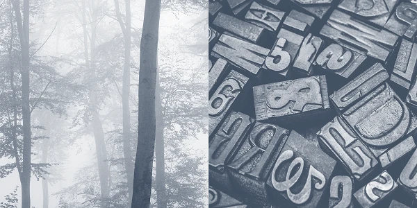 Eine neblige Waldlandschaft mit hohen Bäumen auf der linken Seite und einer Ansammlung von alten Buchstaben und Zahlen aus Holz auf der rechten Seite.