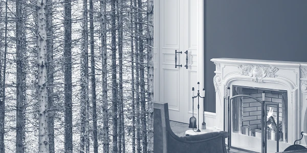 Links sind dicht stehende Baumstämme in einem Wald, während rechts ein eleganter Innenraum mit einem weißen Kamin, einem Sessel und einer dekorativen Wand zu sehen ist.