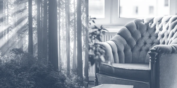 Eine dunkle Waldlandschaft mit hohen Bäumen, durch die Sonnenstrahlen scheinen, ist auf der linken Seite abgebildet, während die rechte Seite ein elegantes, gepolstertes Sessel mit einem leicht vintage Aussehen zeigt, umgeben von Pflanzen und einem Tisch mit einem Buch.