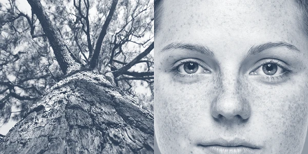Auf der linken Seite ist ein Blick auf den Stamm eines Baumes zu sehen, der von unten nach oben in Richtung der Äste fotografiert wurde. Die rechte Seite zeigt das Gesicht eines jungen Menschen mit Sommersprossen und einem neutralen Ausdruck. Beide Bilder sind in Schwarz-Weiß gehalten und vermitteln eine Verbindung zur Natur.