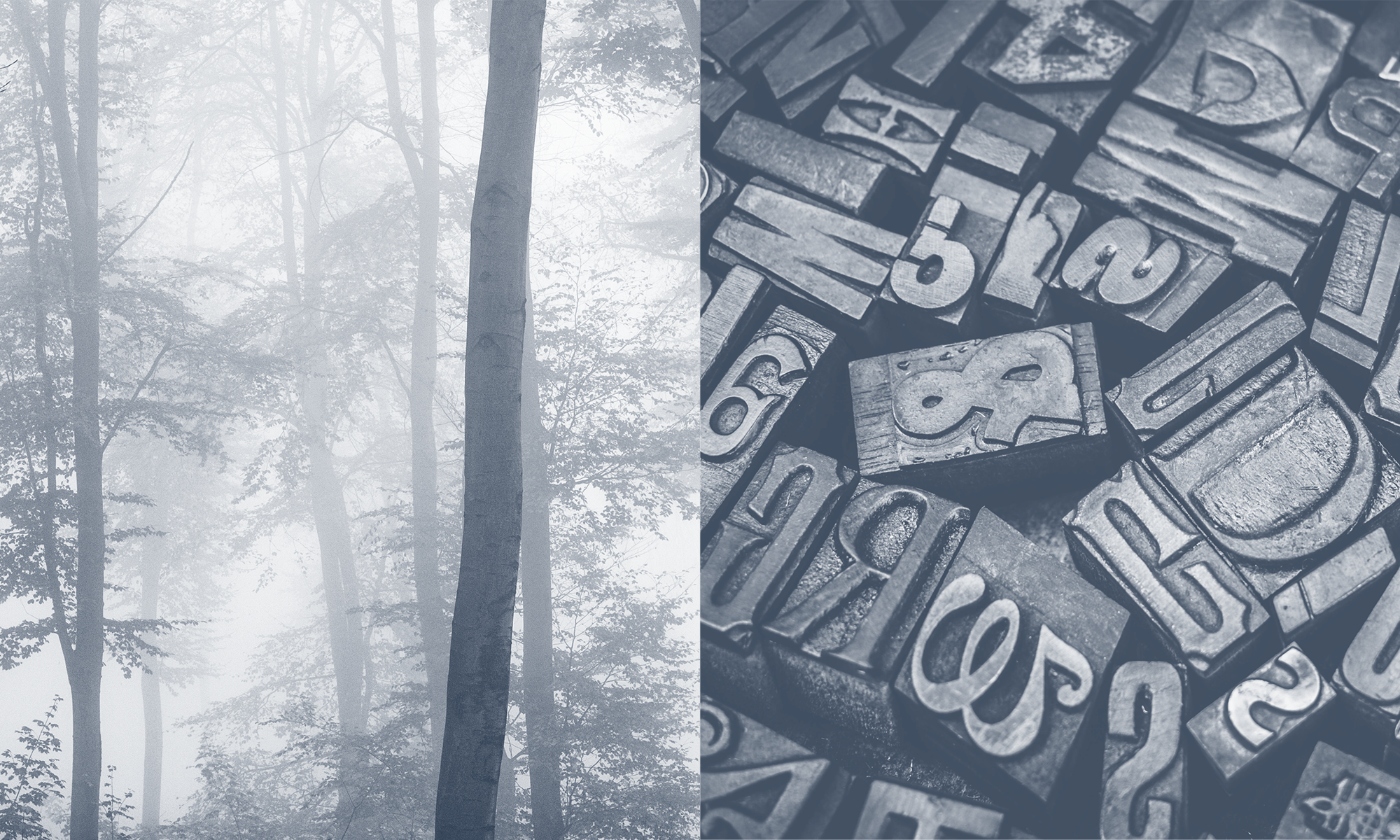 Eine neblige Waldlandschaft mit hohen Bäumen auf der linken Seite und einer Ansammlung von alten Buchstaben und Zahlen aus Holz auf der rechten Seite.