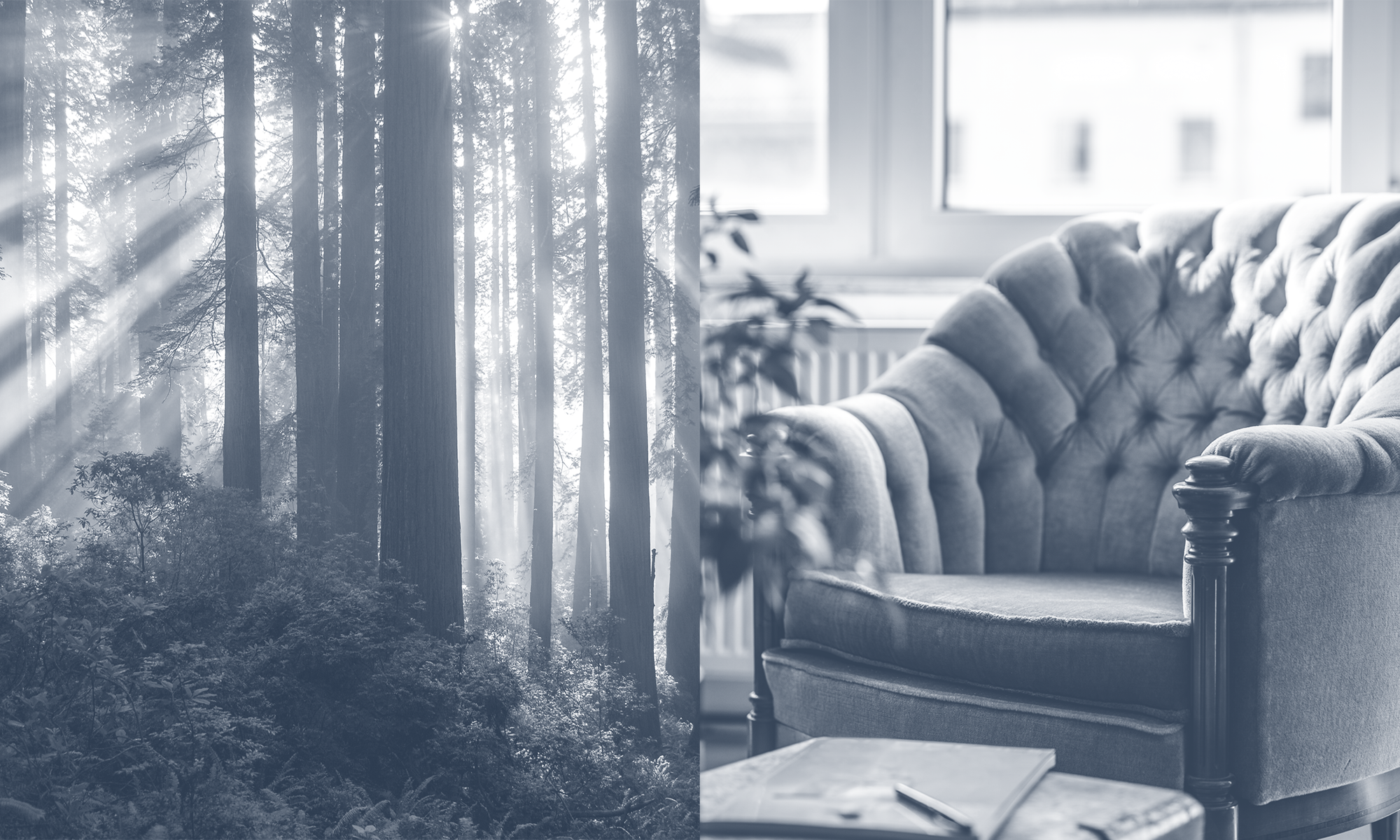 Eine dunkle Waldlandschaft mit hohen Bäumen, durch die Sonnenstrahlen scheinen, ist auf der linken Seite abgebildet, während die rechte Seite ein elegantes, gepolstertes Sessel mit einem leicht vintage Aussehen zeigt, umgeben von Pflanzen und einem Tisch mit einem Buch.