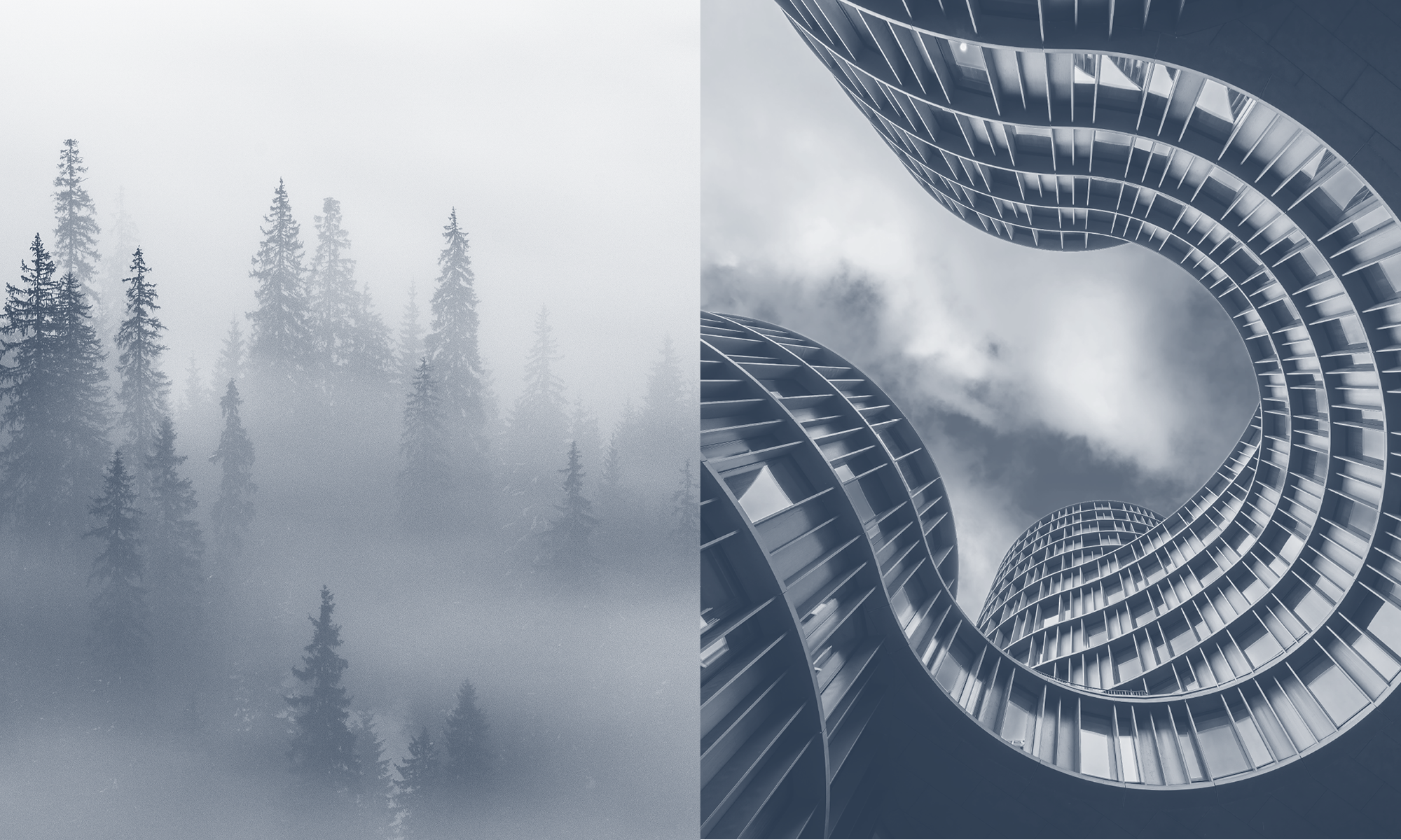 Links sind hohe, nebelverhangene Tannenbäume in einem mystischen Wald zu sehen, während rechts eine moderne, spiralförmige Architektur abgebildet ist, die in den Himmel ragt und von Wolken umgeben ist.